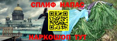 гидра Долгопрудный