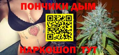 гидра Долгопрудный