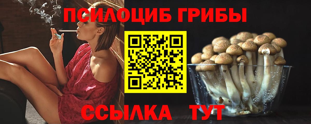 Псилоцибиновые грибы мухоморы Алейск